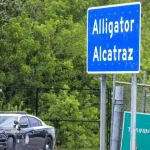 alligator alcatraz