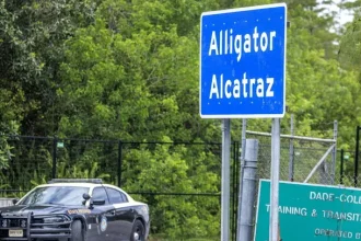 alligator alcatraz