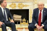 Il presidente Trump e il Segretario Generale della NATO, Mark Rutte