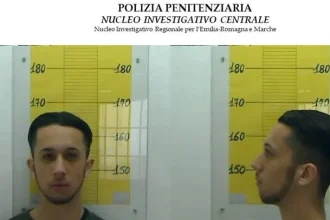 andrea cavallari