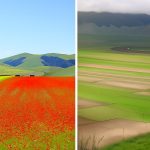 Due esempi della Fioritura a Castelluccio di Norcio