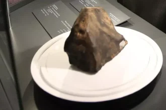 meteorite