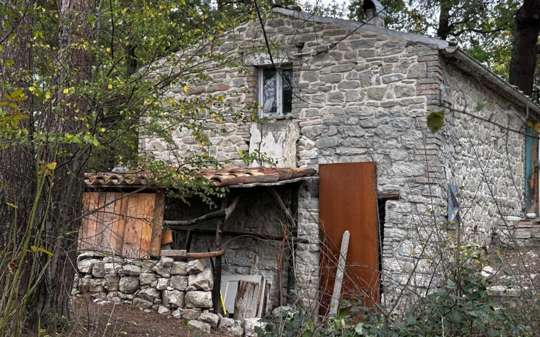 Famiglia nel bosco, nuova audizione per i bimbi ma senza genitori