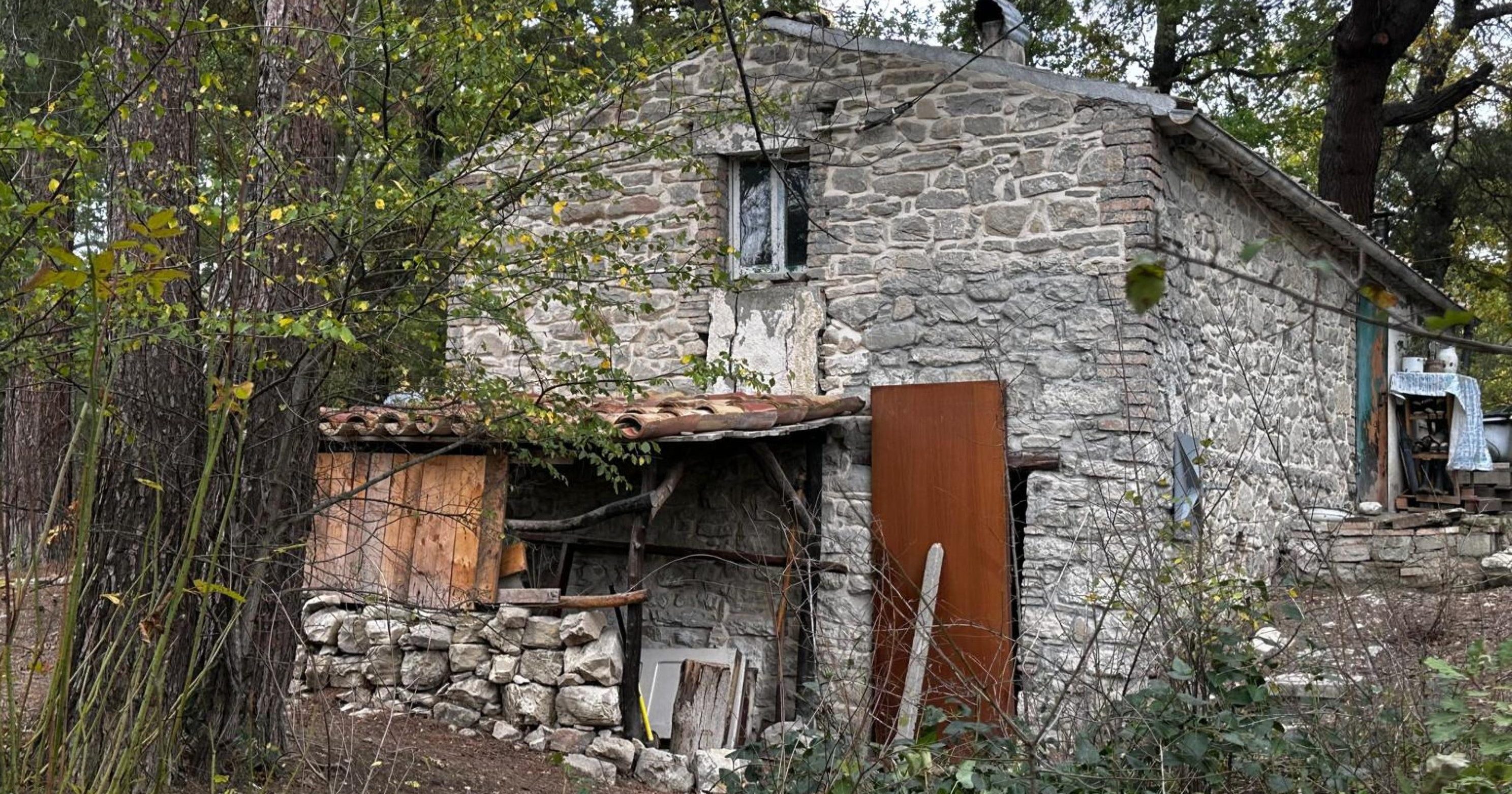 Via i figli alla famiglia nel bosco, ‘leso diritto a relazioni’