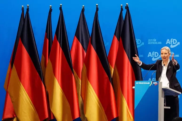 L’AfD alla corte di Donald Trump