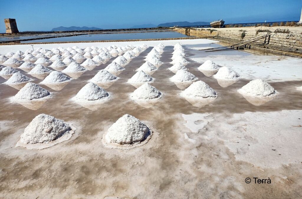 Il sale e il sapore: la vita legata a un granello