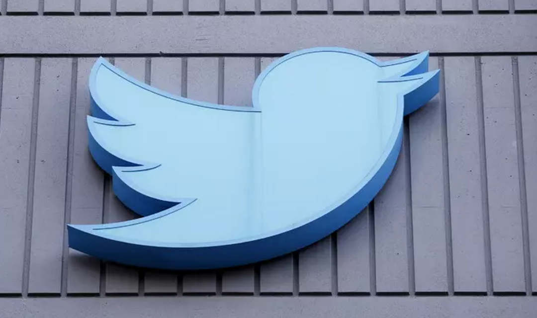 Twitter e l’uccellino blu potrebbero tornare: al via Operation Bluebird