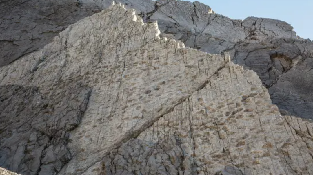 Una valle di dinosauri nello Stelvio: «Scoperta senza precedenti»