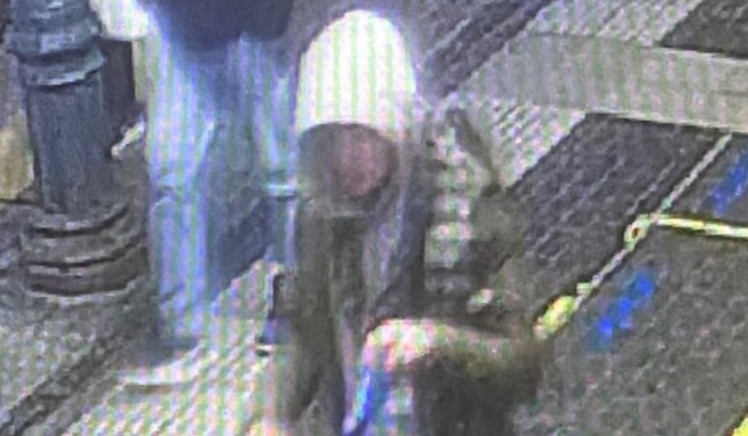 Capotreno ucciso a Bologna, fermato nel Bresciano il presunto killer