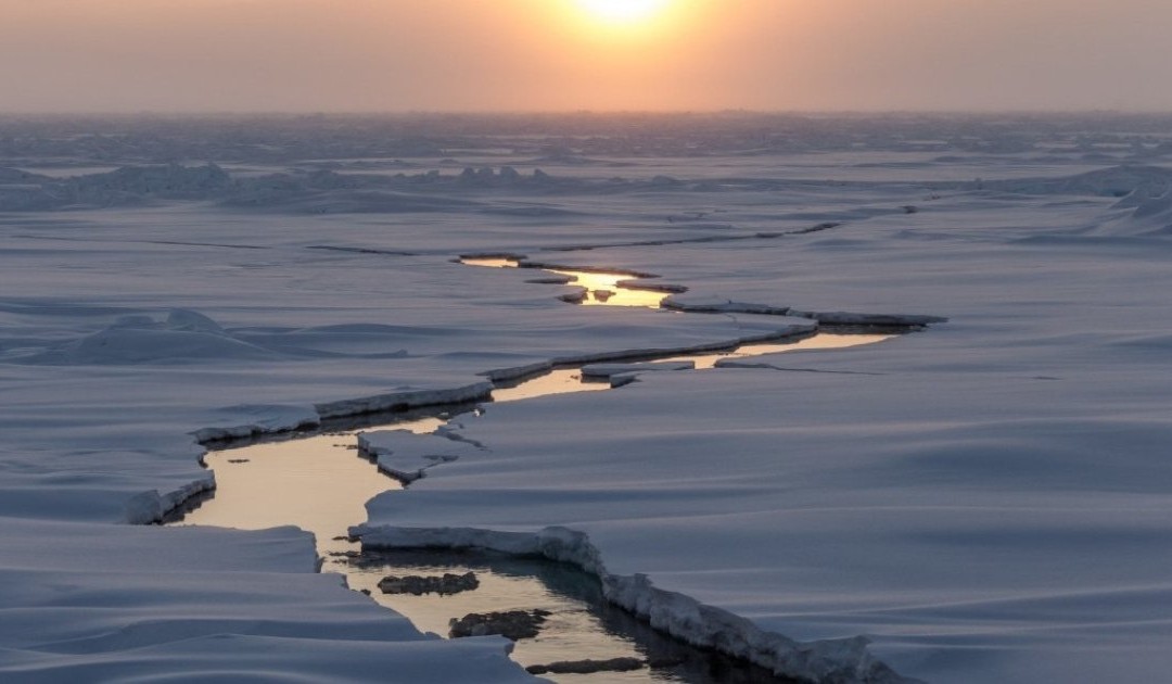 Il mondo che Trump sta smontando