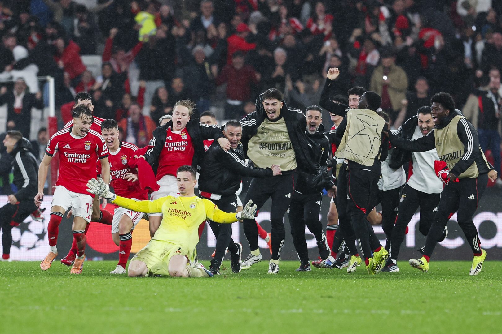 ipa-agency-ipa70691044