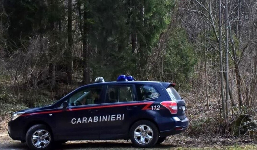 Messina, trovati tre cadaveri crivellati di colpi nel bosco di Montagnareale