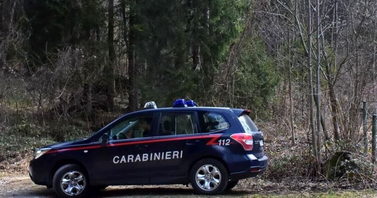 Montagnareale boschi