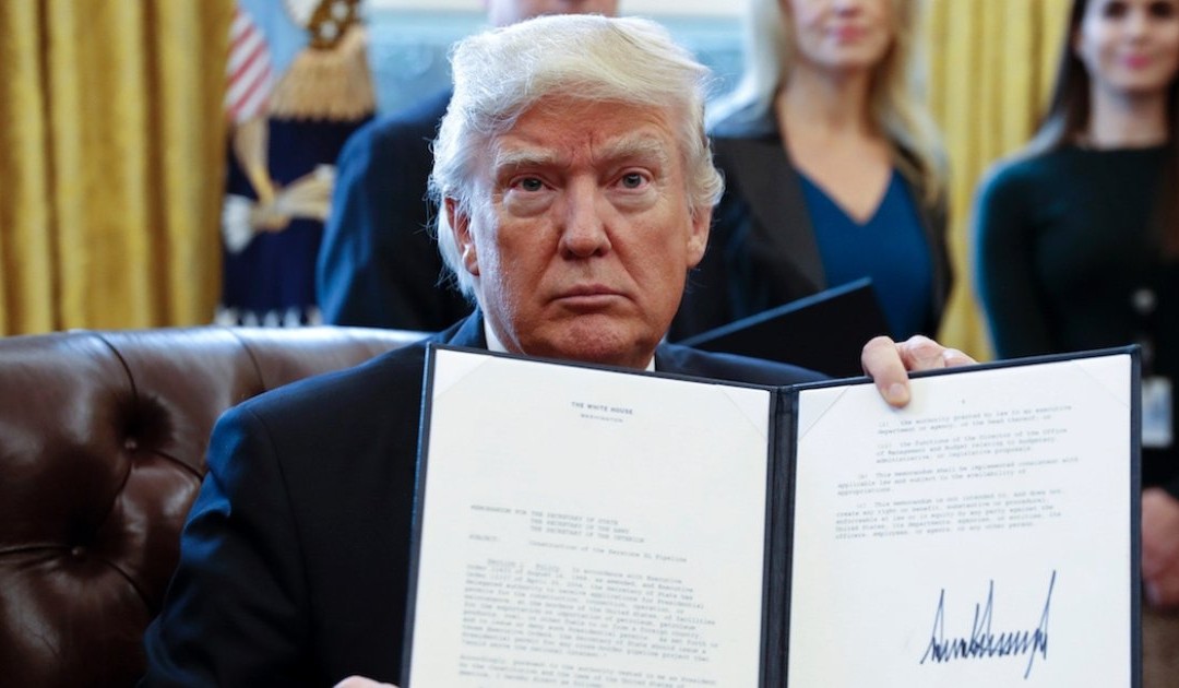 Mille parole nuove per spiegare come abitiamo il presente