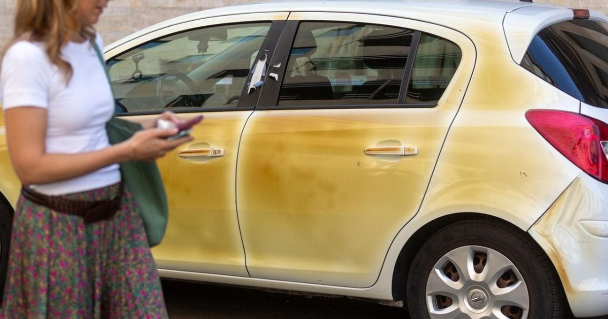 Automobili caldo estremo