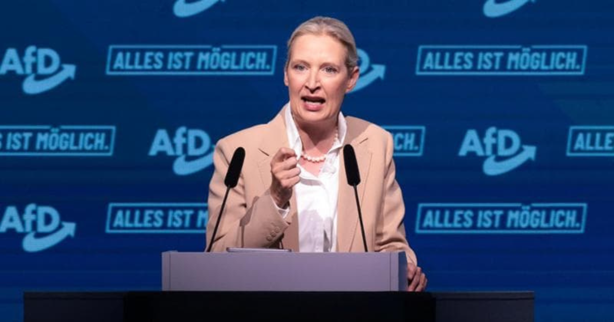 Weidel AFD