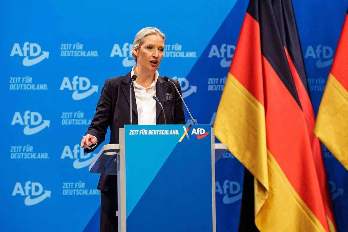 alice_weidel_afp